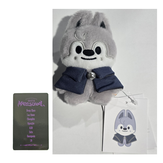 Stray Kids SKZOO Plush 10cm Ver (Magic School) with Random POB