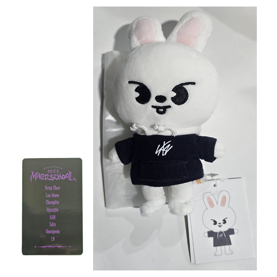 Stray Kids SKZOO Plush MINI Ver (Magic School) with Random POB